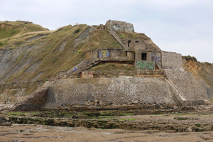 Traitement punaises de lit Fort-de-France
